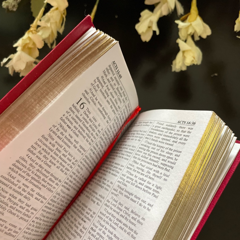 Mini Holy New Testament KJV Pocket Bible new bright red gold trim with leaf - Picture 4 of 7